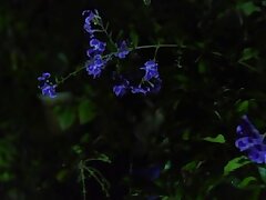 JUX-165 Hot MILF Rides Thick Cock Hard Until She Blows Mind-Bending Cum