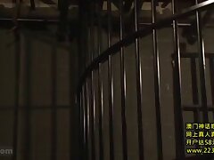 RBD-695 Sensual Japanese Beauties Provide Intimate Erotic Adventures Tonight