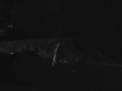 FU10_Night_Crawling_301 Collared Submissive Brunette Gets Facialized After Blowjob Feast