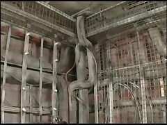 GAJ10 Asian Sweetheart's Irresistible Pecker Seduction Spell