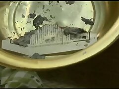 FTDS-005 Akiho's Intense Desire Big Cock Fantasies Unleashed