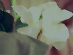 Babes_041 Sweet Japanese Beauty Takes It Up The Rear For A Hot Anal Scene